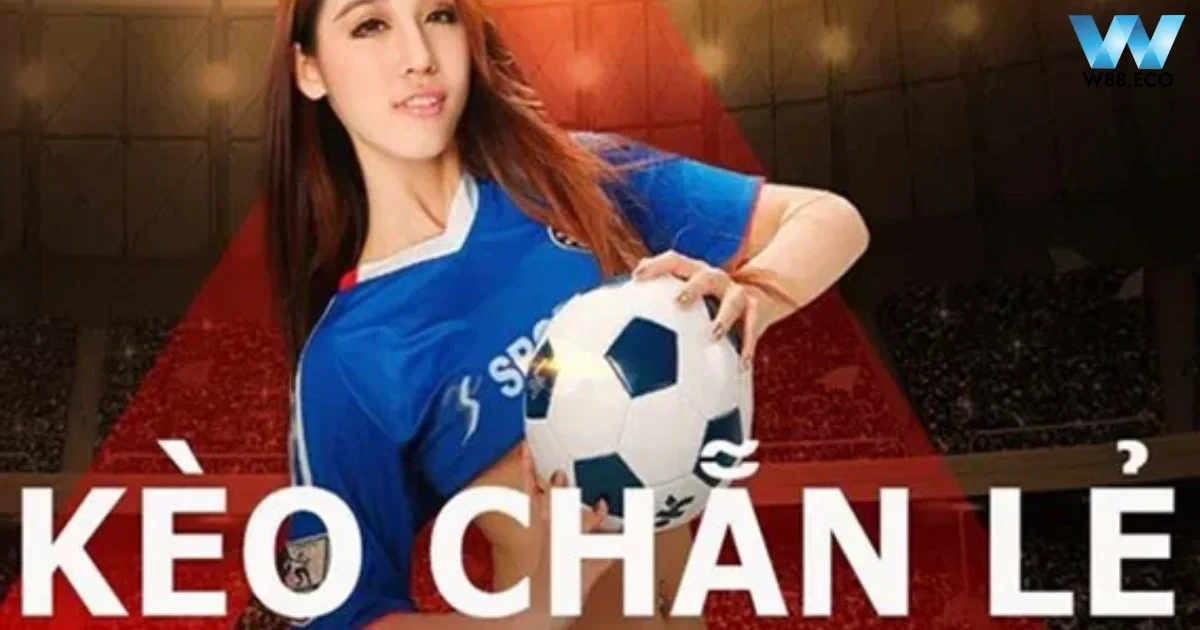 Người chơi nên lập chiến lược kỹ lưỡng trước khi chơi cược chẵn lẻ