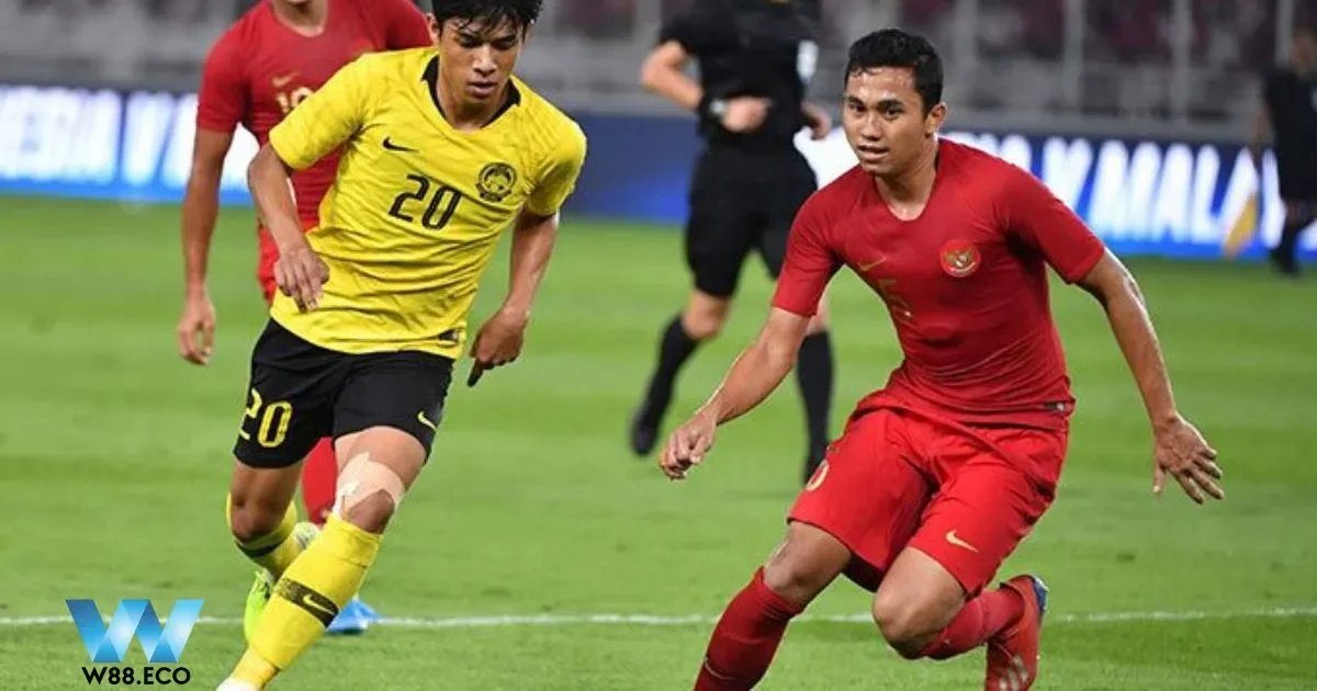 Kèo mã lai có đặc điểm nổi bật nào?