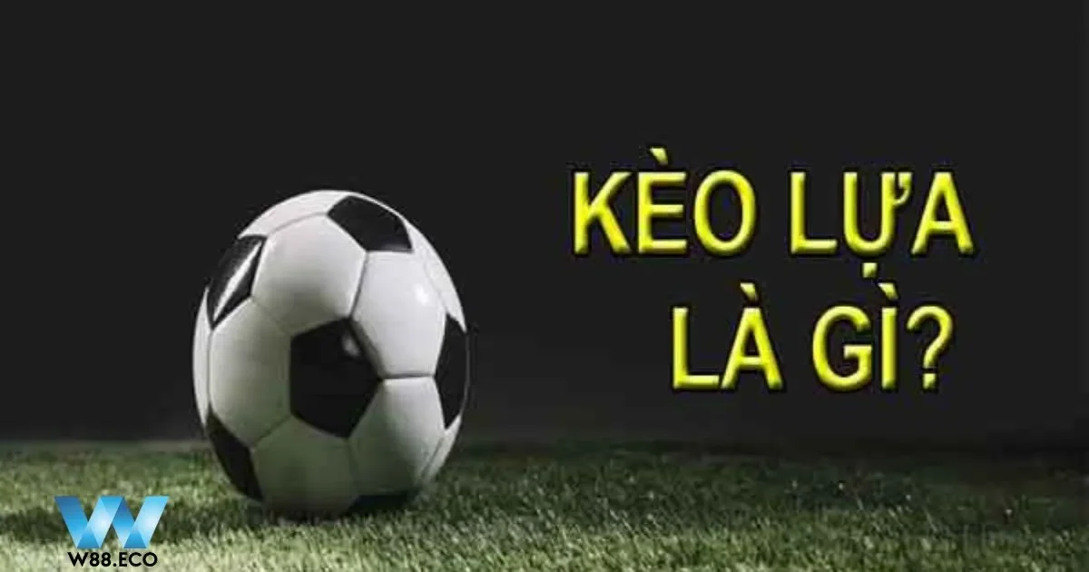 Lập kế hoạch chi tiết trước khi cược