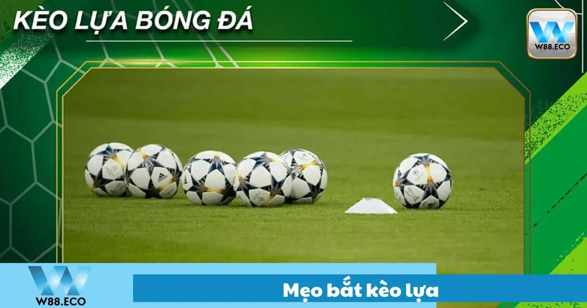 Cách chọn kẹo lựa dễ ăn tiền