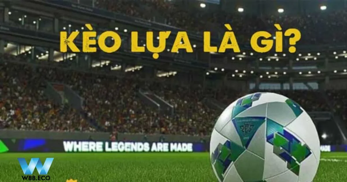 Theo dõi tin tức xuyên suốt